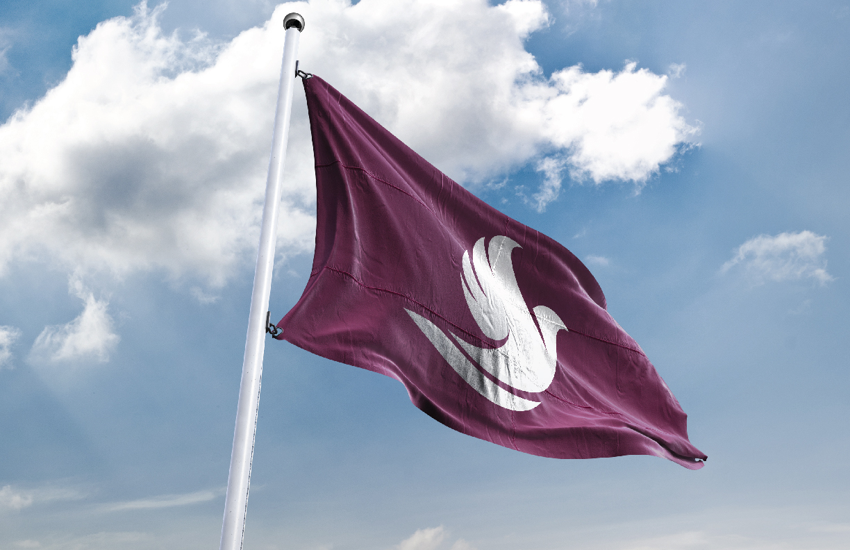 Showing a flag with the Stark College logo. Logo designed by MDR.